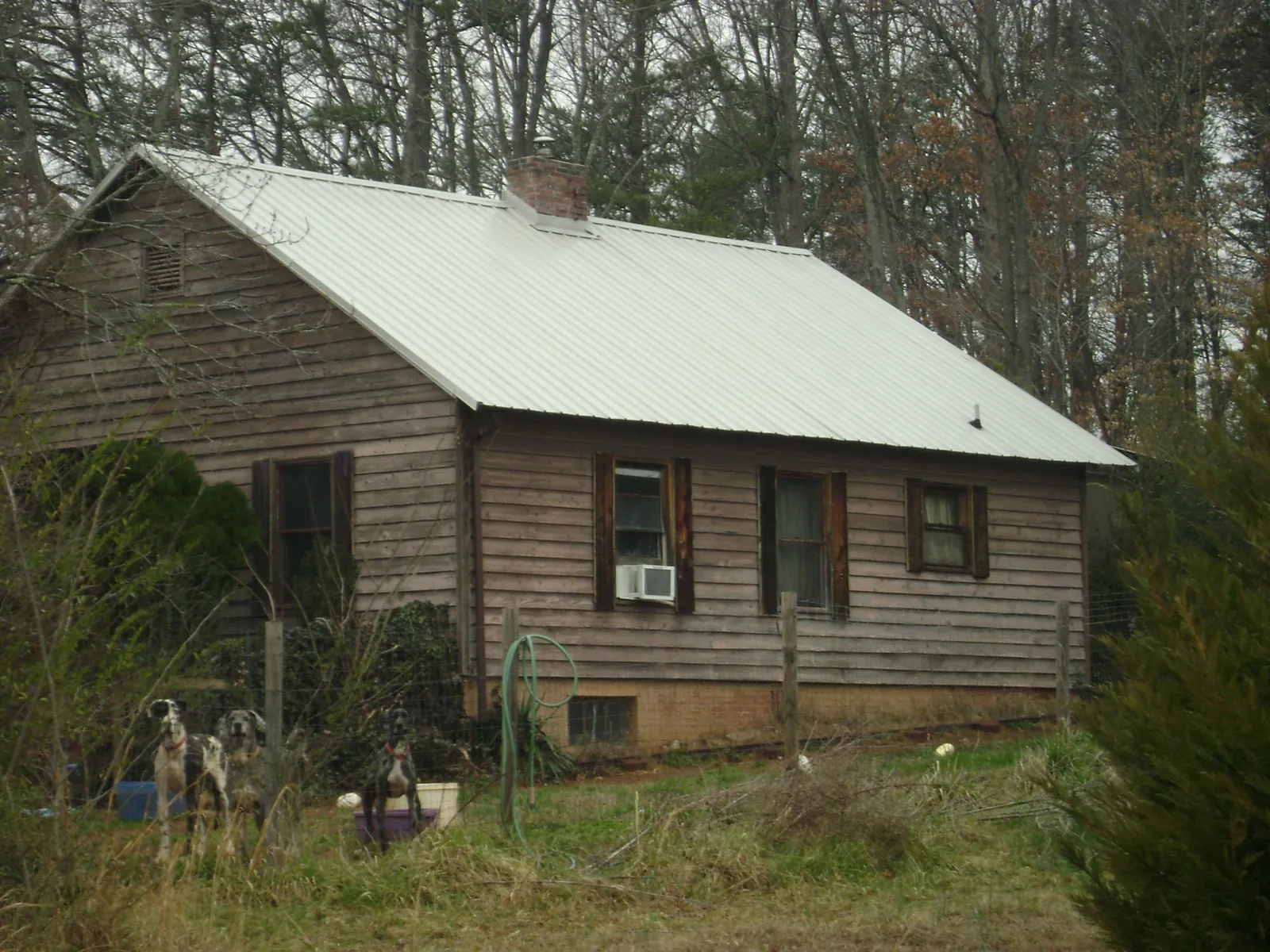 White metal roof on an old wood sided farmhouse, from a Metal Roof Installation job in Healdsburg
